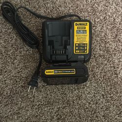 DeWalt DCB107 DCB201 Battery & Charger 20V Max Lithium Ion 12v / 20v Max Charge
