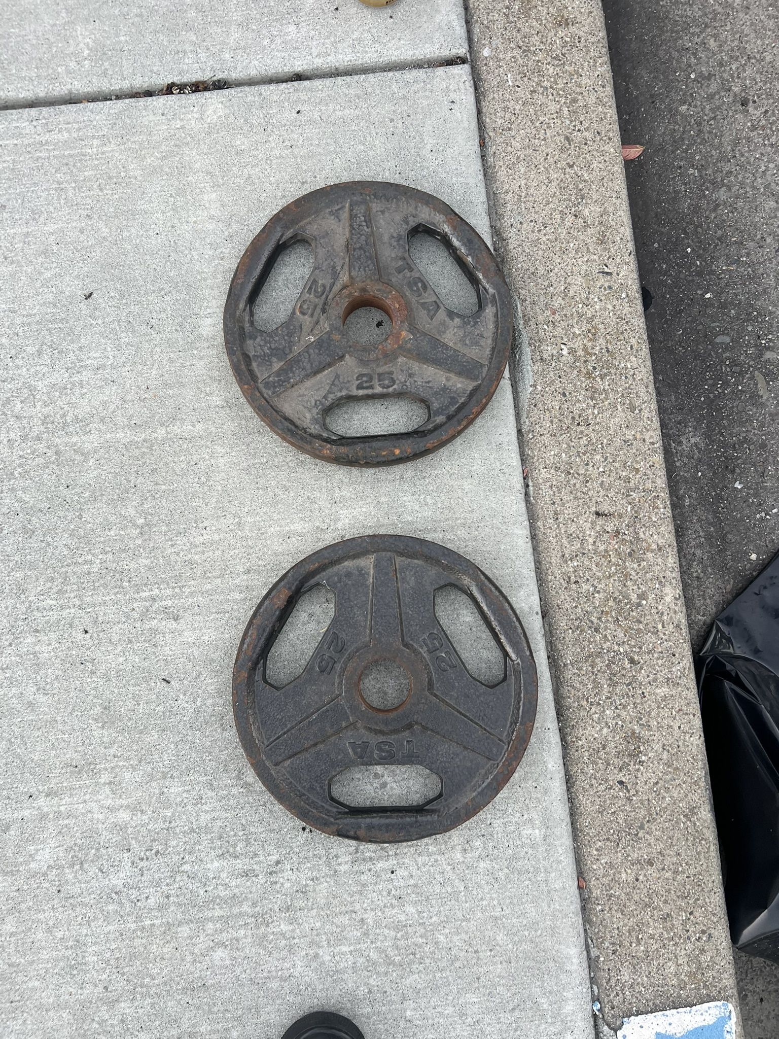 TSA 25 Pound Plates (2)
