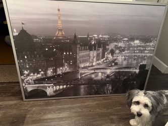 IKEA BJÖRKSTA Paris Night Wall Art
