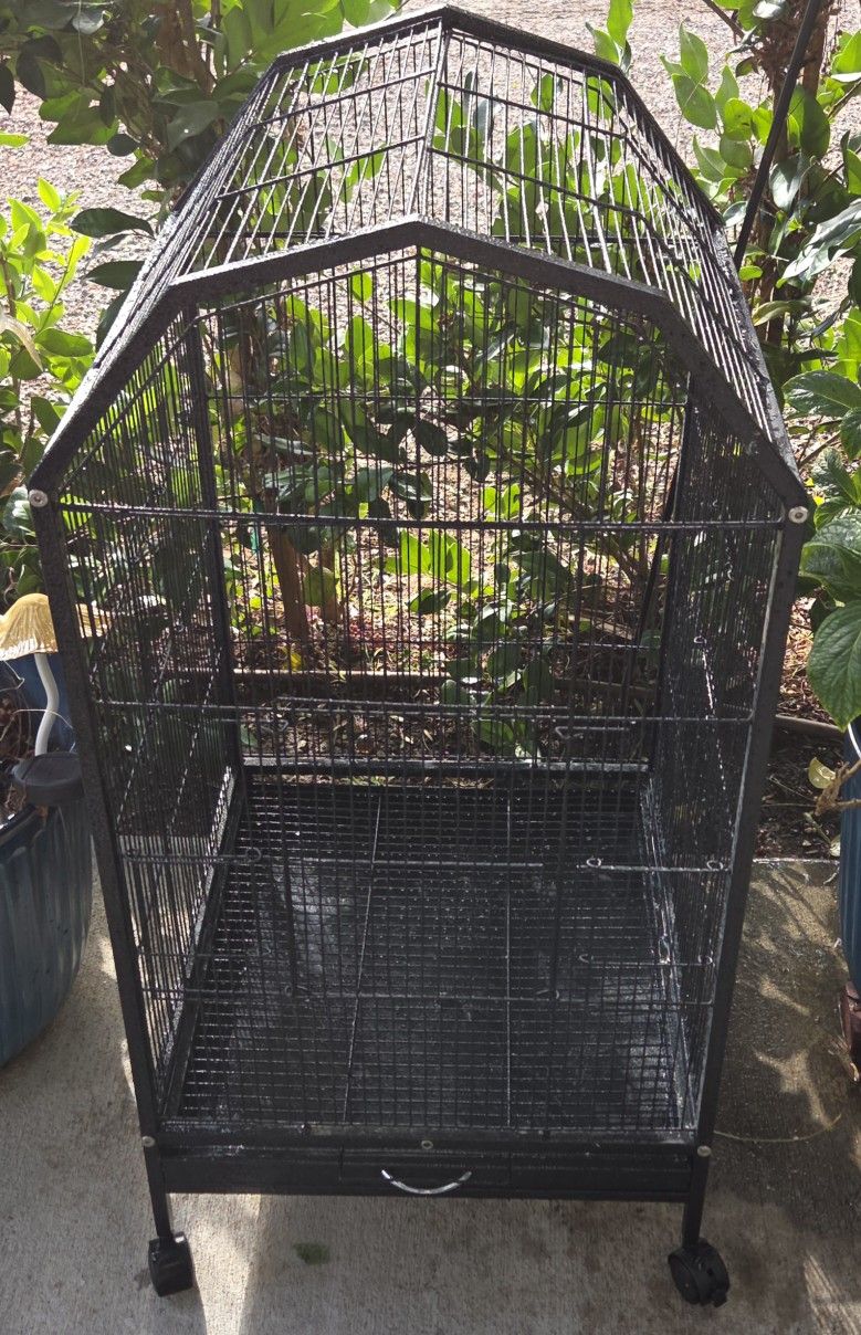 Bird Cage With Cover,New Toys,& Perches