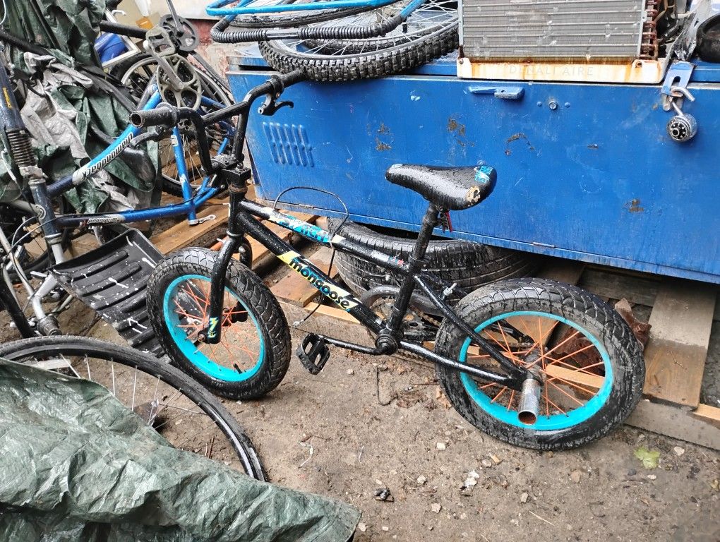 Mongoose , 16 Fatboy 