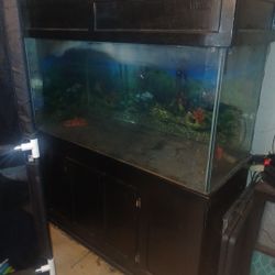 200 Gallon Tank. 60x24 Tank