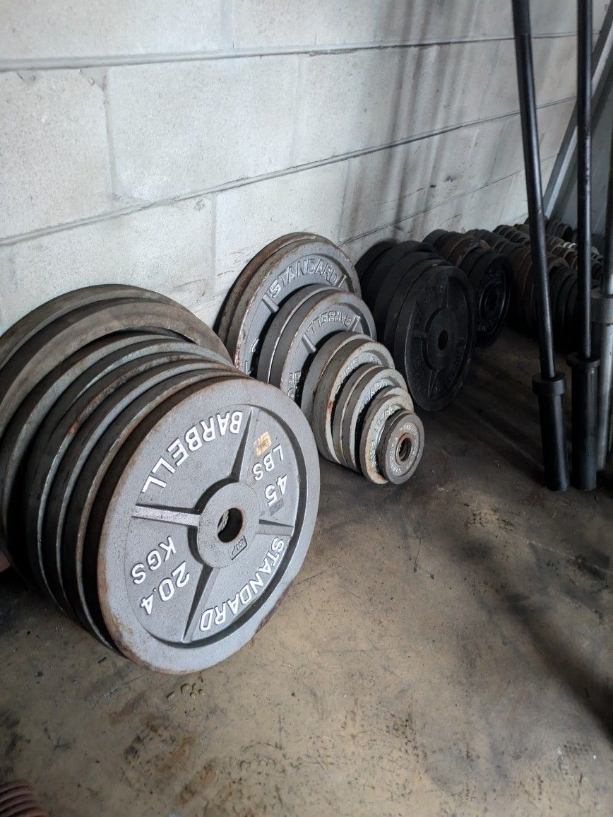 Olympic Plates, Barbells, Benches, Racks, Dumbbells, And More!