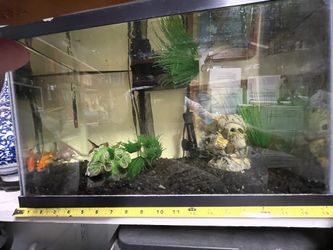 Fisk Tank And Pump + Filter+ Heater 10.5 Gallons