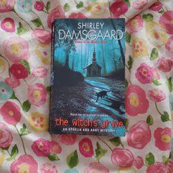 The Witch's Grave by Shirley Damsgaard (Paperback)