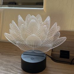 Succulent Color Light Decor  