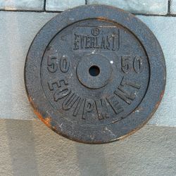 50 Lb Everlast