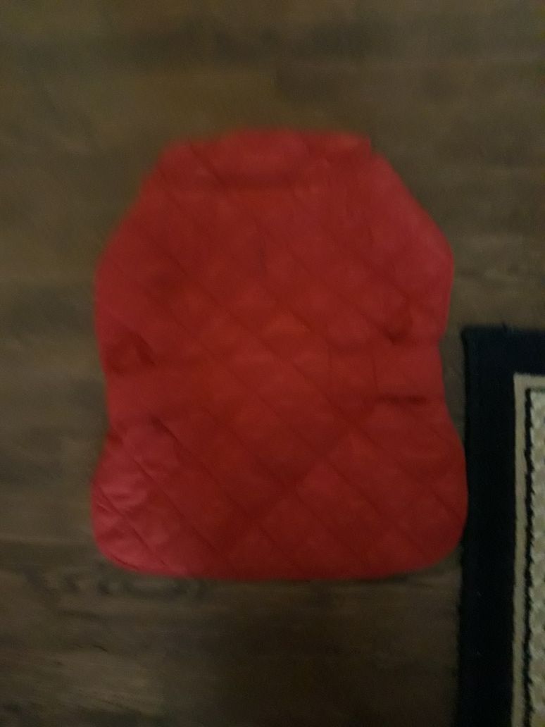 Red dog sweater