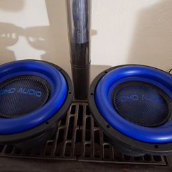 Custom Rebuilt Upgraded SKAR EVL 12s 