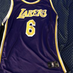 Lebron James Los Angeles Lakers Jersey