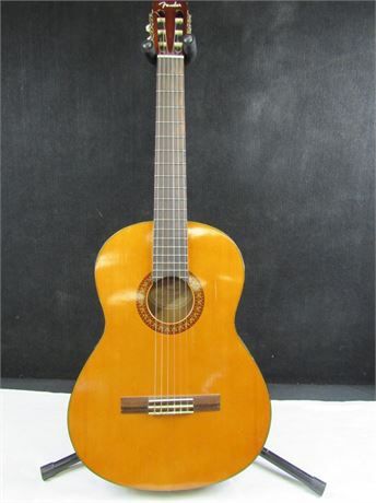 Fender Acoustic Guitar and Hard Case