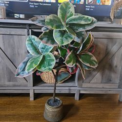 Fake Tree Plant