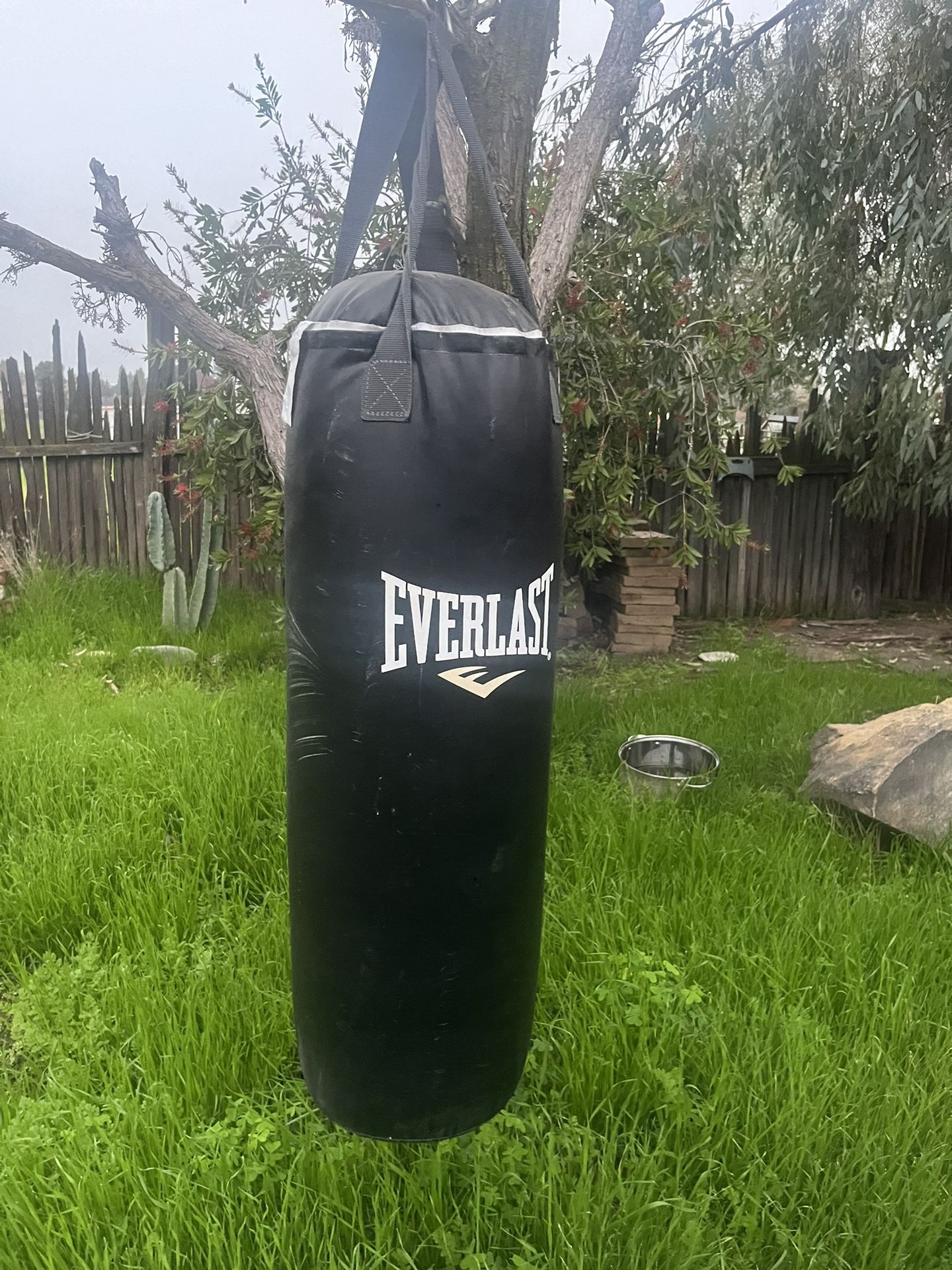 Every last Punching Bag