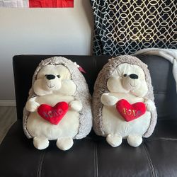 Teddy Bears