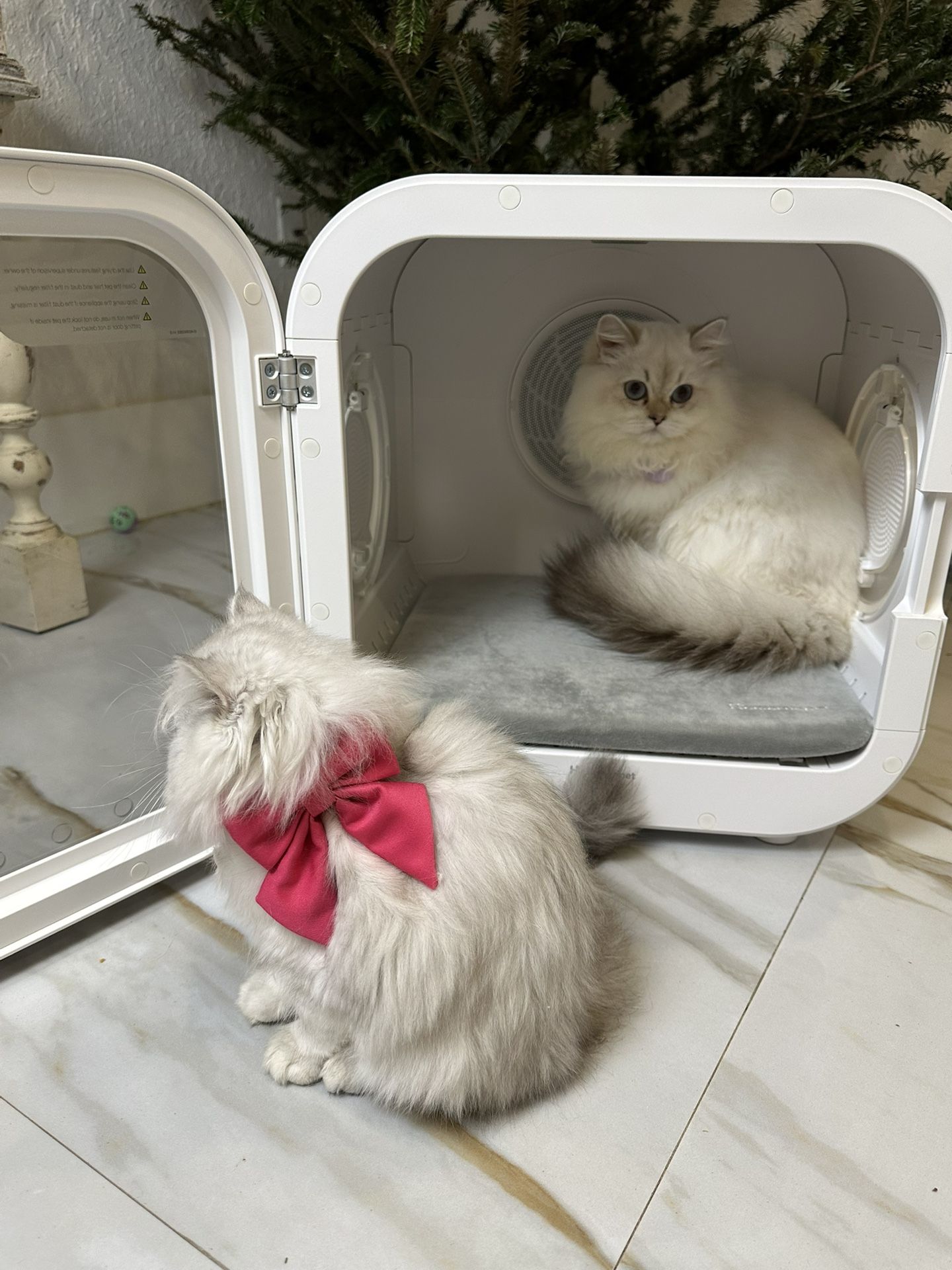 Pet Cat Dog Blow Dryer Dry Box By Homerunpet Drybo Plus
