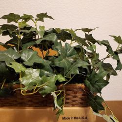 Plastic Ivy Plants. (Read Description)