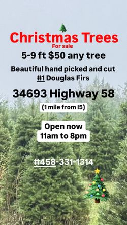 $50 Christmas Trees cut fresh a local family farm, ready to go $50 any size 4-9 feet