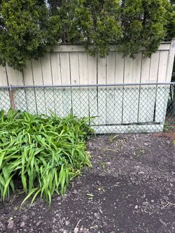 Free wood, fence, sign, concrete post holders