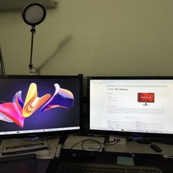 Viewsonic Dual 24” Monitor Setup With Adjustable Stand