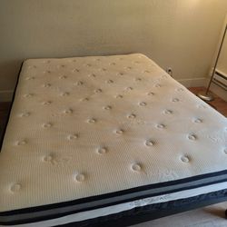 Queen bed in perfect condition