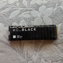 WD Black 1 TB 