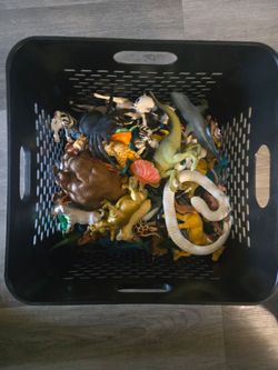 Animal toys