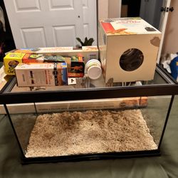 Start Up Reptile Terrarium 10 Gallon 