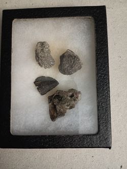FOSSILS ROCKS MINERALS