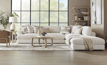 Brand New, Never Used Couch for Sale