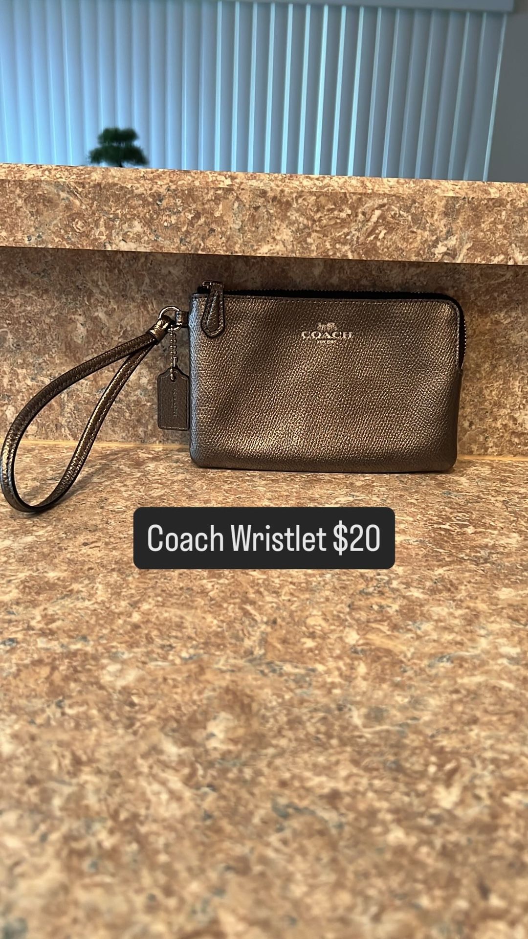 Coach Wristlet Gray