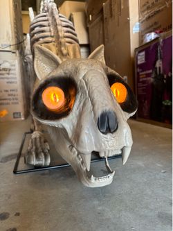 5 ft. Long Grave & Bones LED Skelly's Cat Halloween Decoration