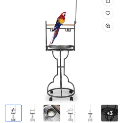 Bird Stand