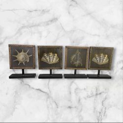 Beach themed Decor - 4 Pictures Included 