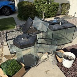 Fully Functioning Aquariums of different sizes and Terrarium. Filters & Heaters included + extras