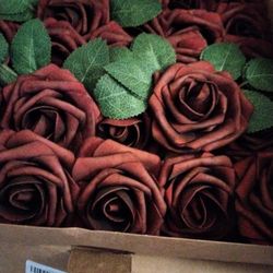 Ling's Moment Roses 