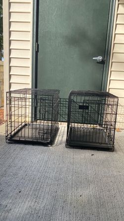 Foldable Dog Crate