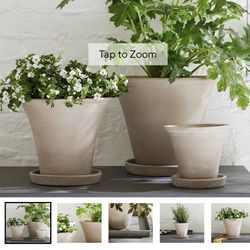 Pottery Barn Planter and Kirkland’s Plant 
