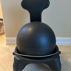Gaiam Ball Chair