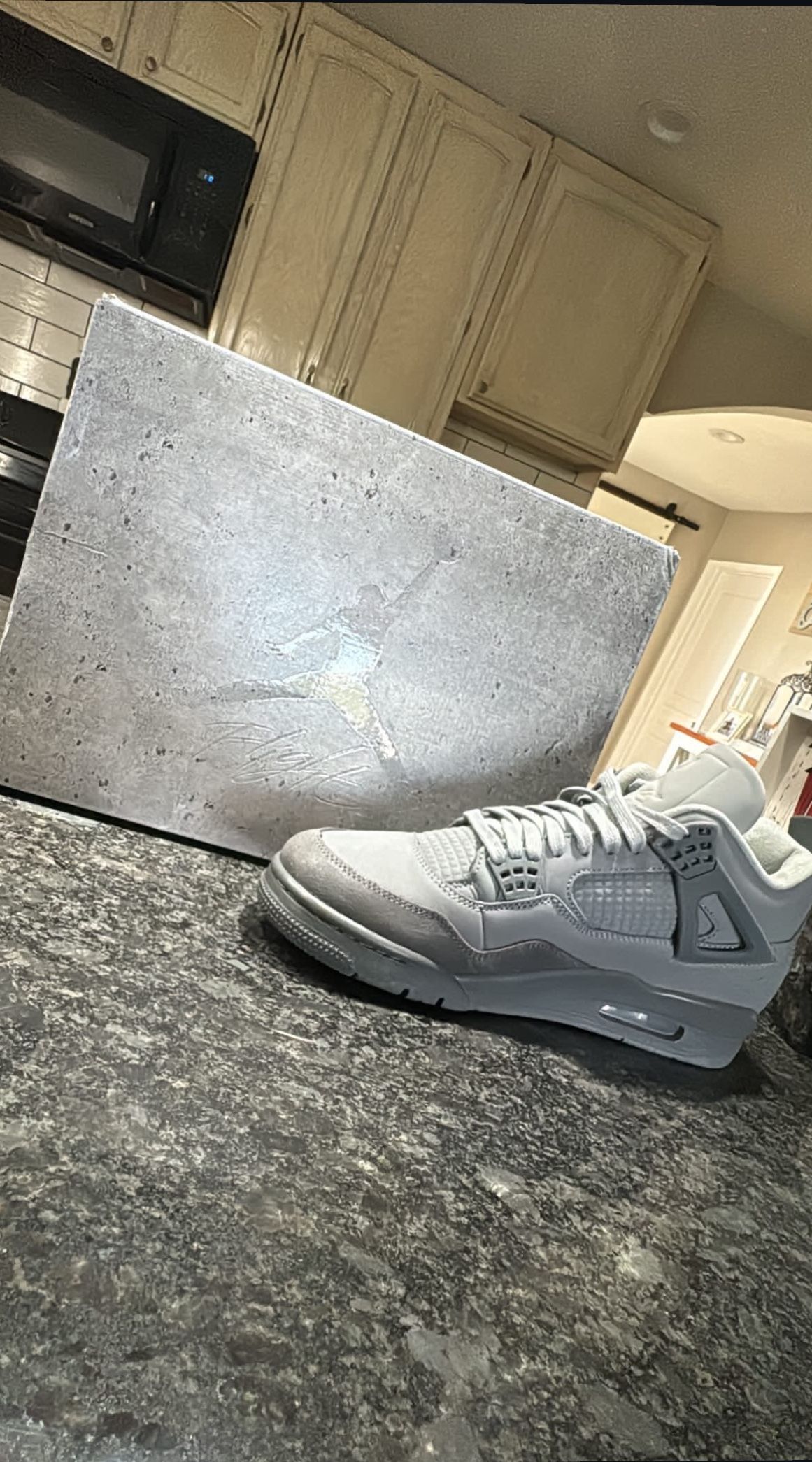 Jordan 4 (wet Cement)
