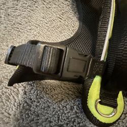 Dog Harness