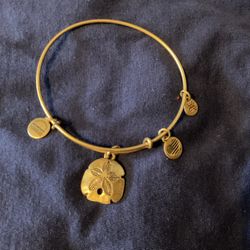 Alex and Ani Brass Sand Dollar Bangle.