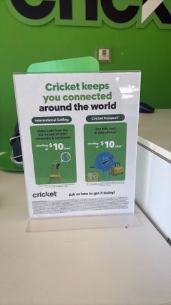 Cricket