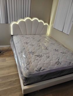 New Quenn bed
