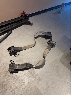 Rogue monster rack safety straps