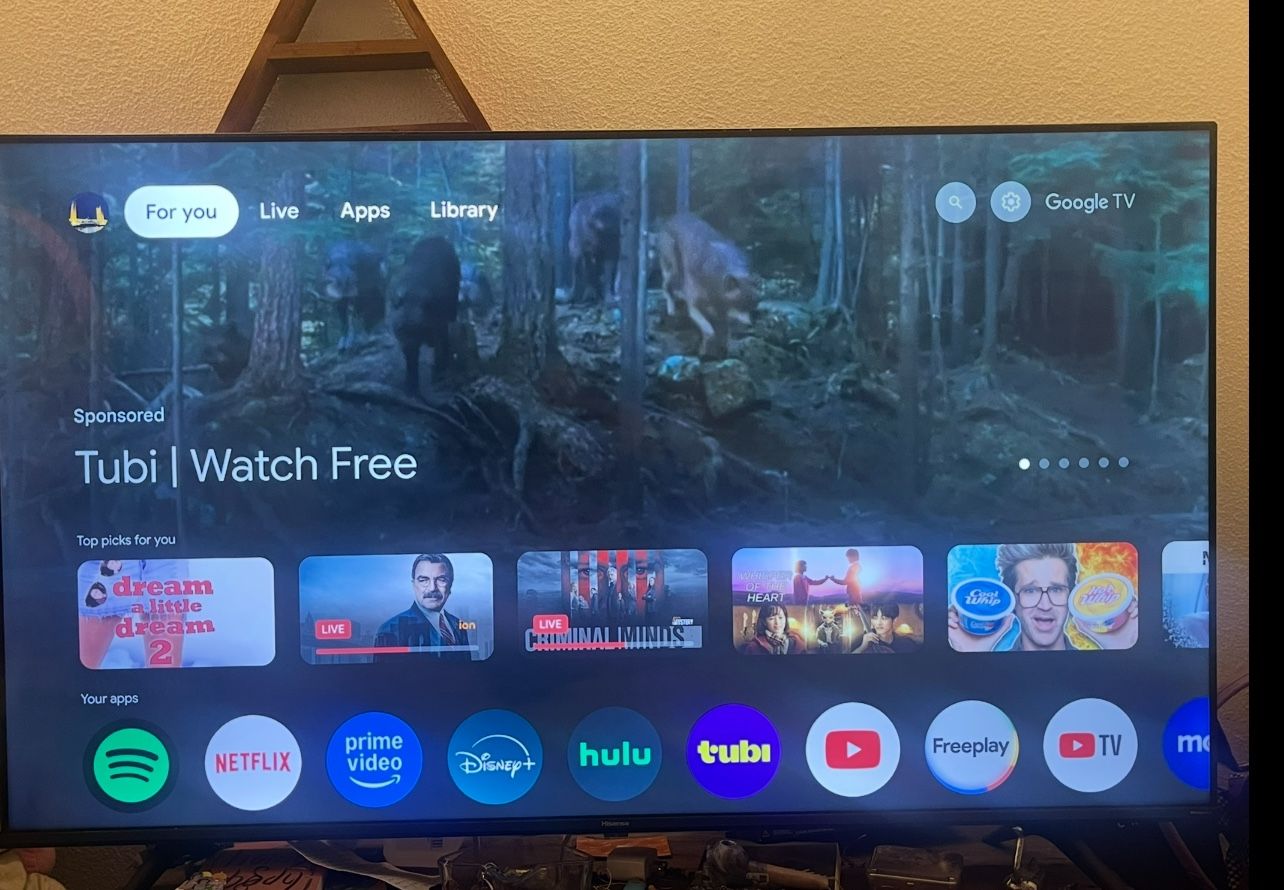 Hisense 55” Smart Tv