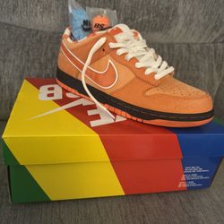 Nike Sb Lobsters 🦞 Size 11