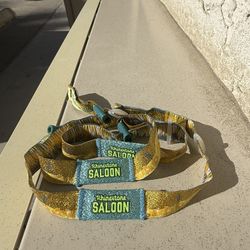 StageCoach 2025 Saloons (Sunday GA)-$350 EACH