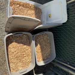 Cedar Shavings