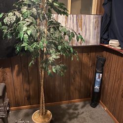 Fake Plant And Painting