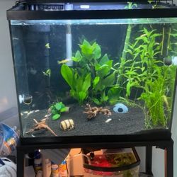20 Gallon Tall Fish Tank